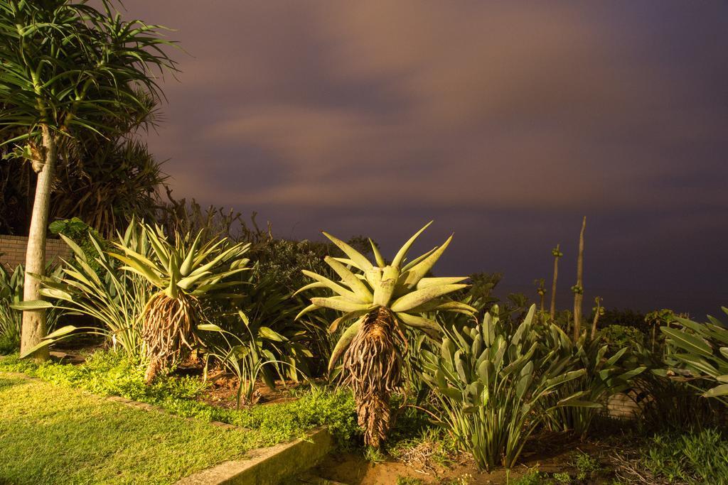 Misty Blue Bed And Breakfast Durban Kültér fotó