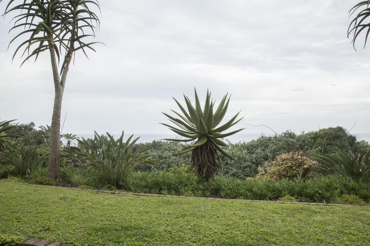 Misty Blue Bed And Breakfast Durban Kültér fotó