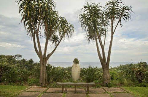 Misty Blue Bed And Breakfast Durban Kültér fotó